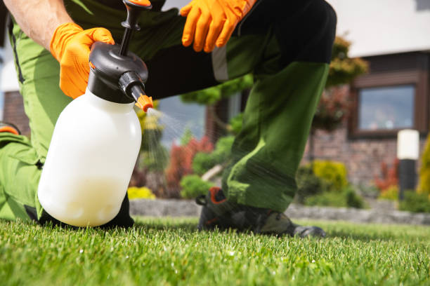 Best Emergency Pest Control  in Greenville, RI