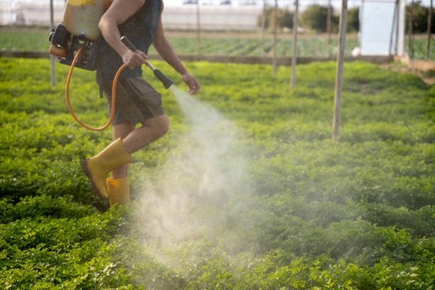 Best Best Pest Control Companies  in Greenville, RI