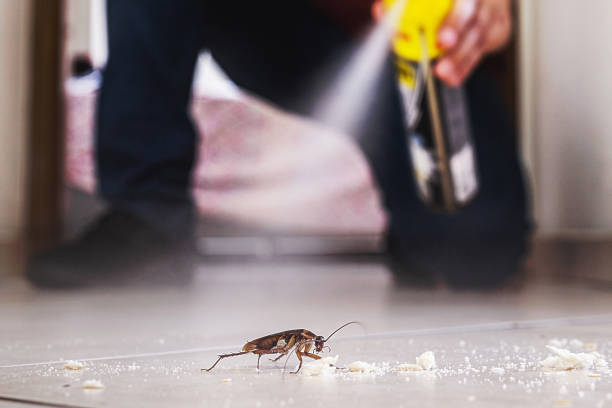 Best Insect Control  in Greenville, RI